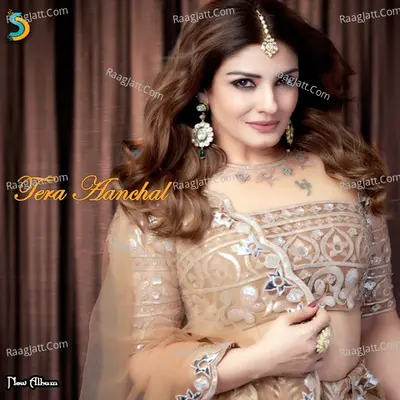 Tera Aanchal - Farooq Ali