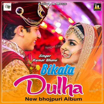 Bikata Dulha Poster