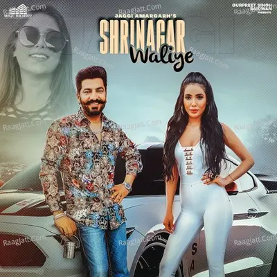Srinagar Waliye Cover