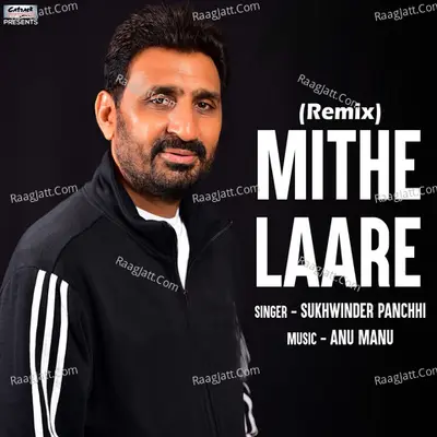 Mithe Laare (Remix) - Single