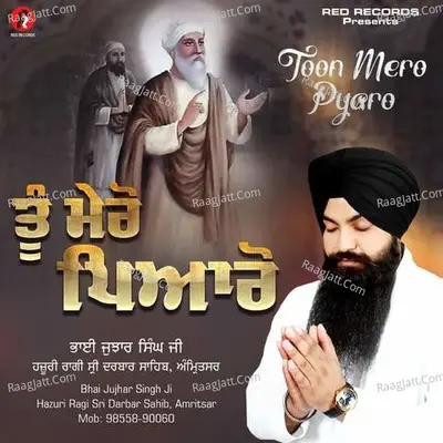 Toon Mero Pyaro