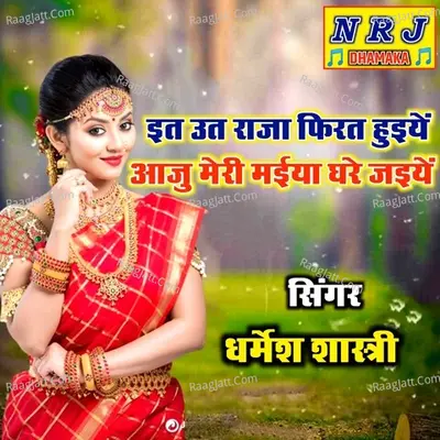 Dharmesh Shastri Image