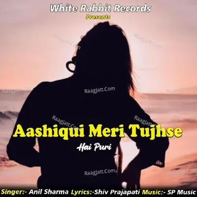 Aashiqui Meri Tujhse Hai Puri Cover