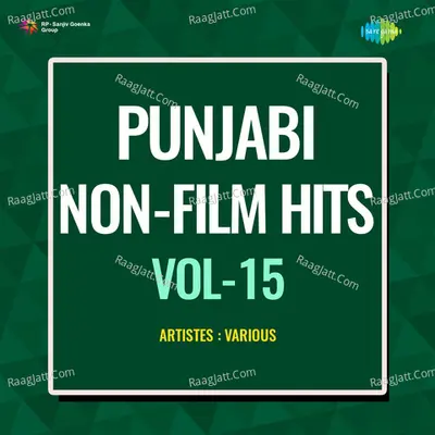 Punjabi Non - Film Hits Vol - 15 Cover