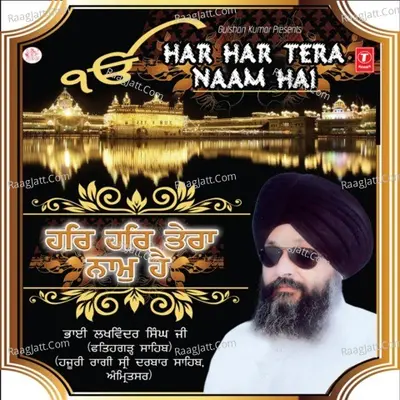 Har Har Tera Naam Hai Poster