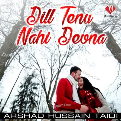 Dill Tenu Nahi Deewana - Arshad Hussain Taidi