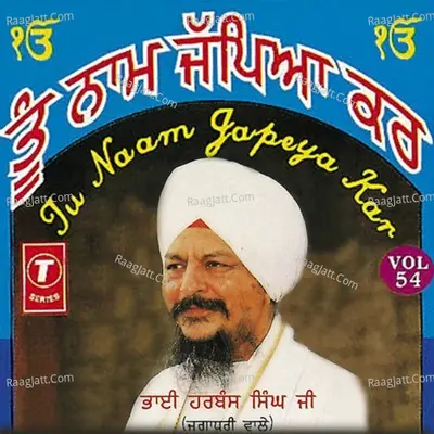 Tu Naam Japeya Kar - Bhai Harbans Singh Ji (Jagadhari Wale)