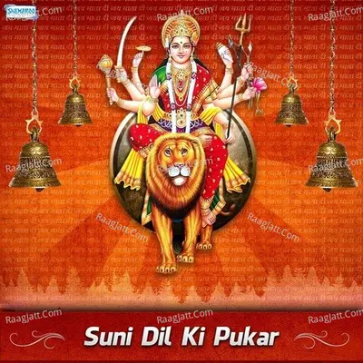 Suni Dil Ki Pukar - Naresh