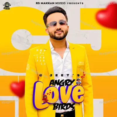 Angry Love Birds Cover