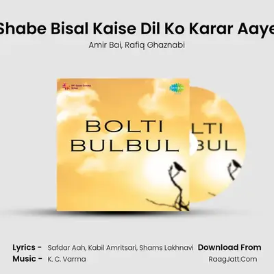 Shabe Bisal Kaise Dil Ko Karar Aaye MP3 Song by Amir Bai Cover