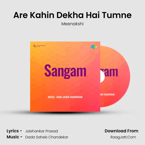 Are Kahin Dekha Hai Tumne MP3 Song by Meenakshi Cover