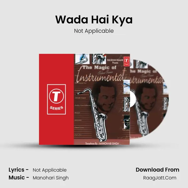 Wada Hai Kya MP3 Song by Not Applicable Cover