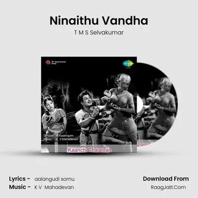 Ninaithu Vandha MP3 Song by T M S Selvakumar Cover