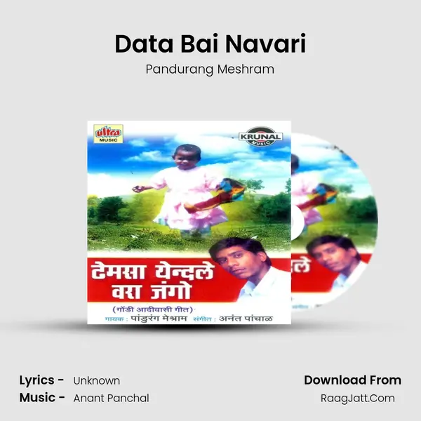 Data Bai Navari MP3 Song by Pandurang Meshram Cover