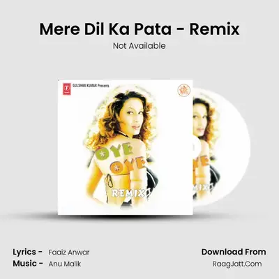 Mere Dil Ka Pata - Remix MP3 Song by Not Available Cover