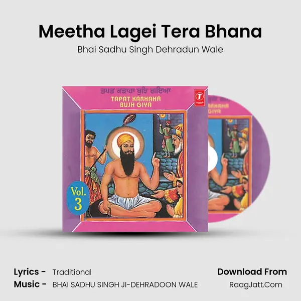 Meetha Lagei Tera Bhana MP3 Song by Bhai Sadhu Singh Dehradun Wale Cover