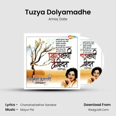 Tuzya Dolyamadhe MP3 Song by Amay Date Cover