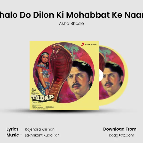 Chalo Do Dilon Ki Mohabbat Ke Naam MP3 Song by Asha Bhosle Cover
