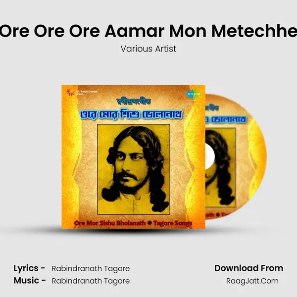 Ore Ore Ore Aamar Mon Metechhe MP3 Song by Various Artist Cover