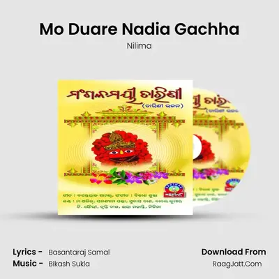 Mo Duare Nadia Gachha MP3 Song by Nilima Cover