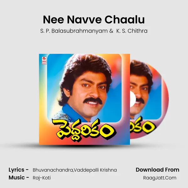 Nee Navve Chaalu MP3 Song by S. P. Balasubrahmanyam Cover