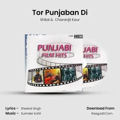 Tor Punjaban Di MP3 Song by Shital Cover