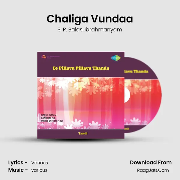 Chaliga Vundaa MP3 Song by S. P. Balasubrahmanyam Cover