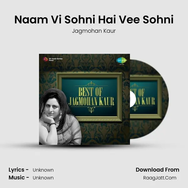 Naam Vi Sohni Hai Vee Sohni Cover