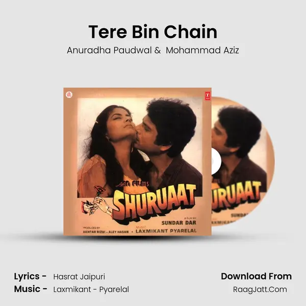 Tere Bin Chain MP3 Song by Anuradha Paudwal Cover