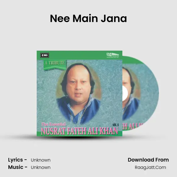 Nee Main Jana MP3 Song by  Cover