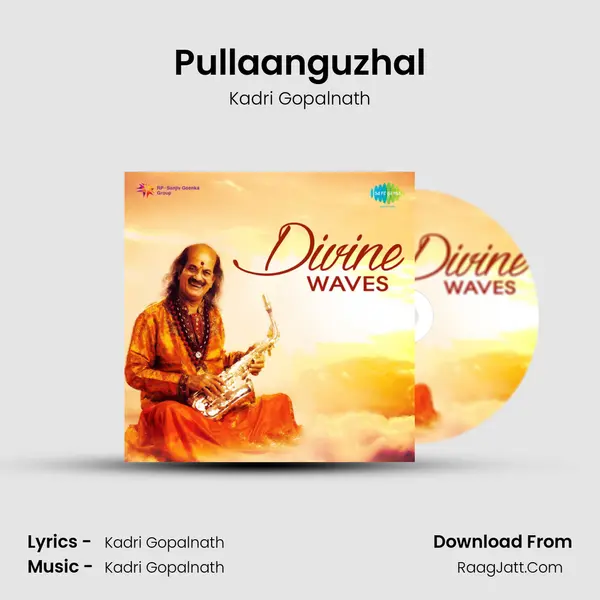 Pullaanguzhal MP3 Song by Kadri Gopalnath Cover