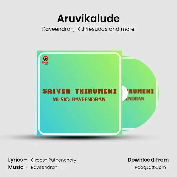 Aruvikalude MP3 Song by Raveendran Cover