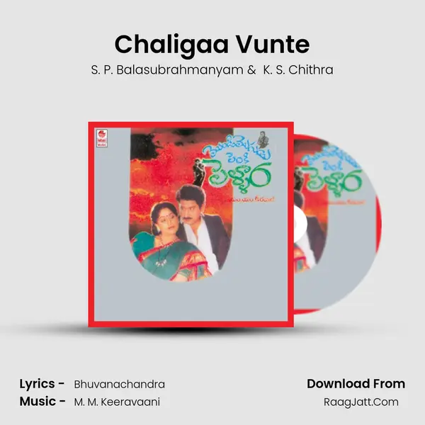 Chaligaa Vunte MP3 Song by S. P. Balasubrahmanyam Cover