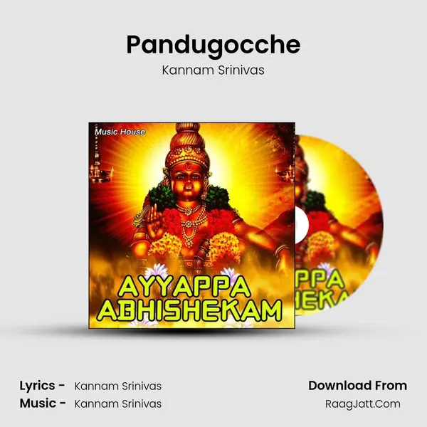 Pandugocche MP3 Song by Kannam Srinivas Cover