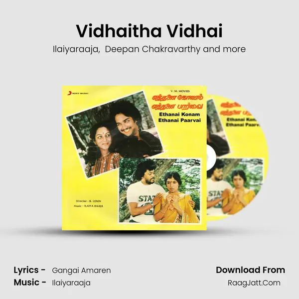 Vidhaitha Vidhai MP3 Song by Ilaiyaraaja Cover