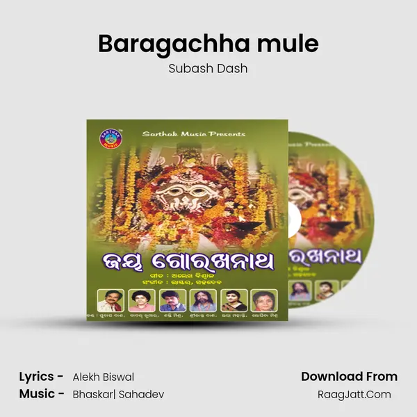 Baragachha mule MP3 Song by Subash Dash Cover