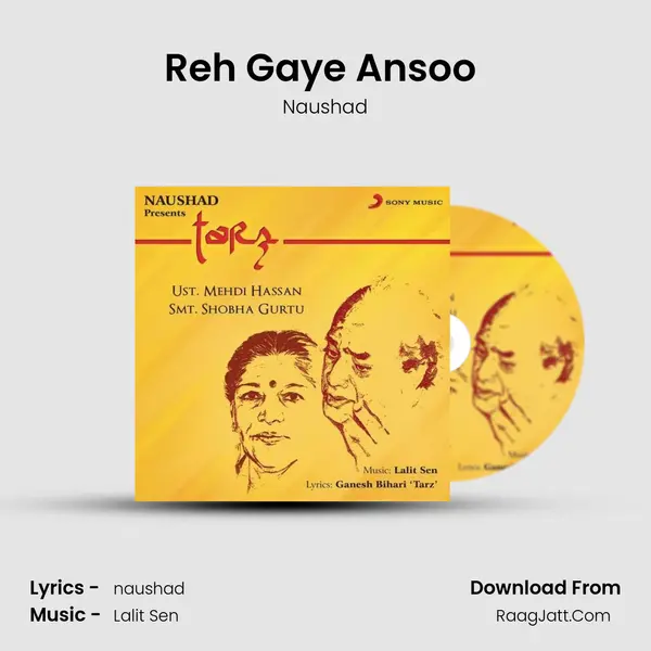 Reh Gaye Ansoo (Introduction) MP3 Song by Naushad Cover