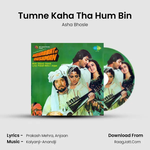Tumne Kaha Tha Hum Bin MP3 Song by Asha Bhosle Cover