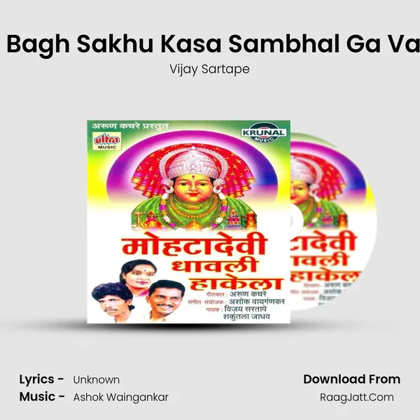 Bagh Bagh Sakhu Kasa Sambhal Ga Vajatoy MP3 Song by Vijay Sartape Cover