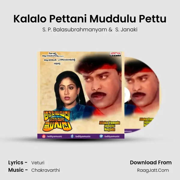 Kalalo Pettani Muddulu Pettu MP3 Song by S. P. Balasubrahmanyam Cover