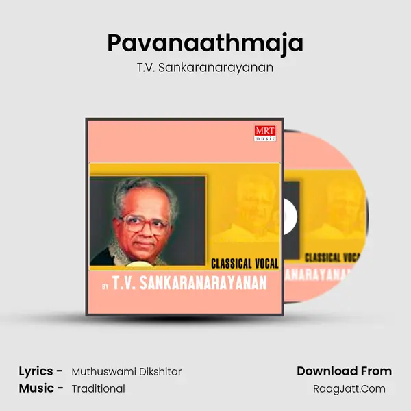 Pavanaathmaja MP3 Song by T.V. Sankaranarayanan Cover