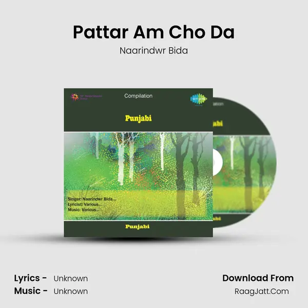 Pattar Am Cho Da MP3 Song by Naarindwr Bida Cover
