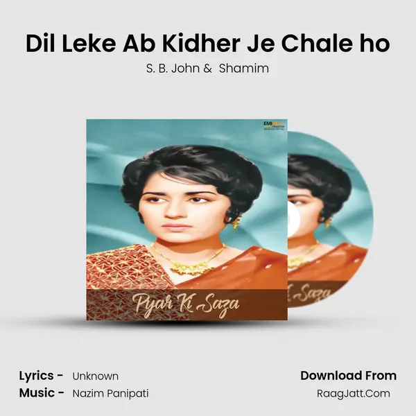 Dil Leke Ab Kidher Je Chale ho mp3 song