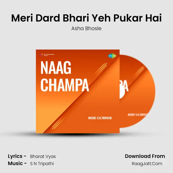Meri Dard Bhari Yeh Pukar Hai MP3 Song by Asha Bhosle Cover