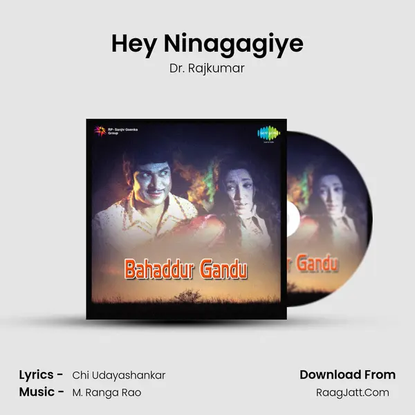 Hey Ninagagiye Cover