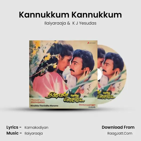 Kannukkum Kannukkum MP3 Song by Ilaiyaraaja Cover