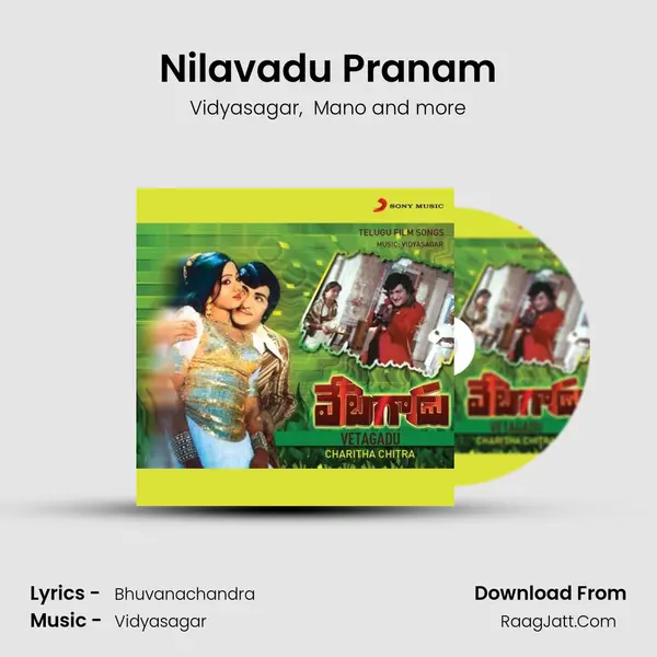 Nilavadu Pranam MP3 Song by Vidyasagar Cover