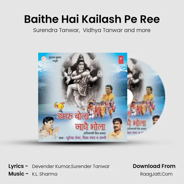 Baithe Hai Kailash Pe Ree MP3 Song by Surendra Tanwar Cover
