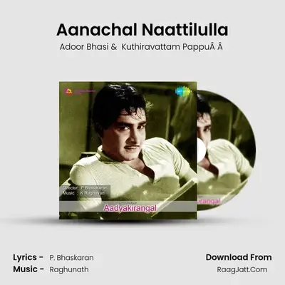 Aanachal Naattilulla mp3 song