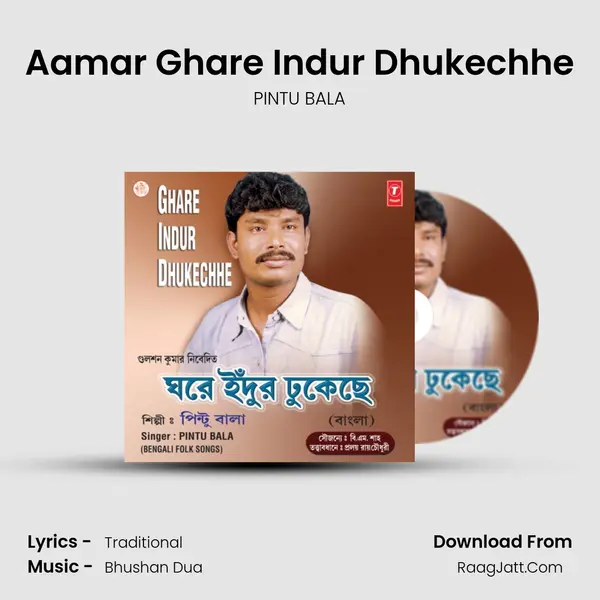 Aamar Ghare Indur Dhukechhe MP3 Song by PINTU BALA Cover